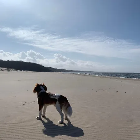 Sophie Polanki Apartamento