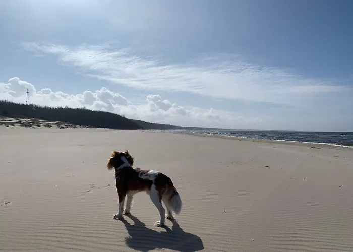 Sophie Polanki شقة